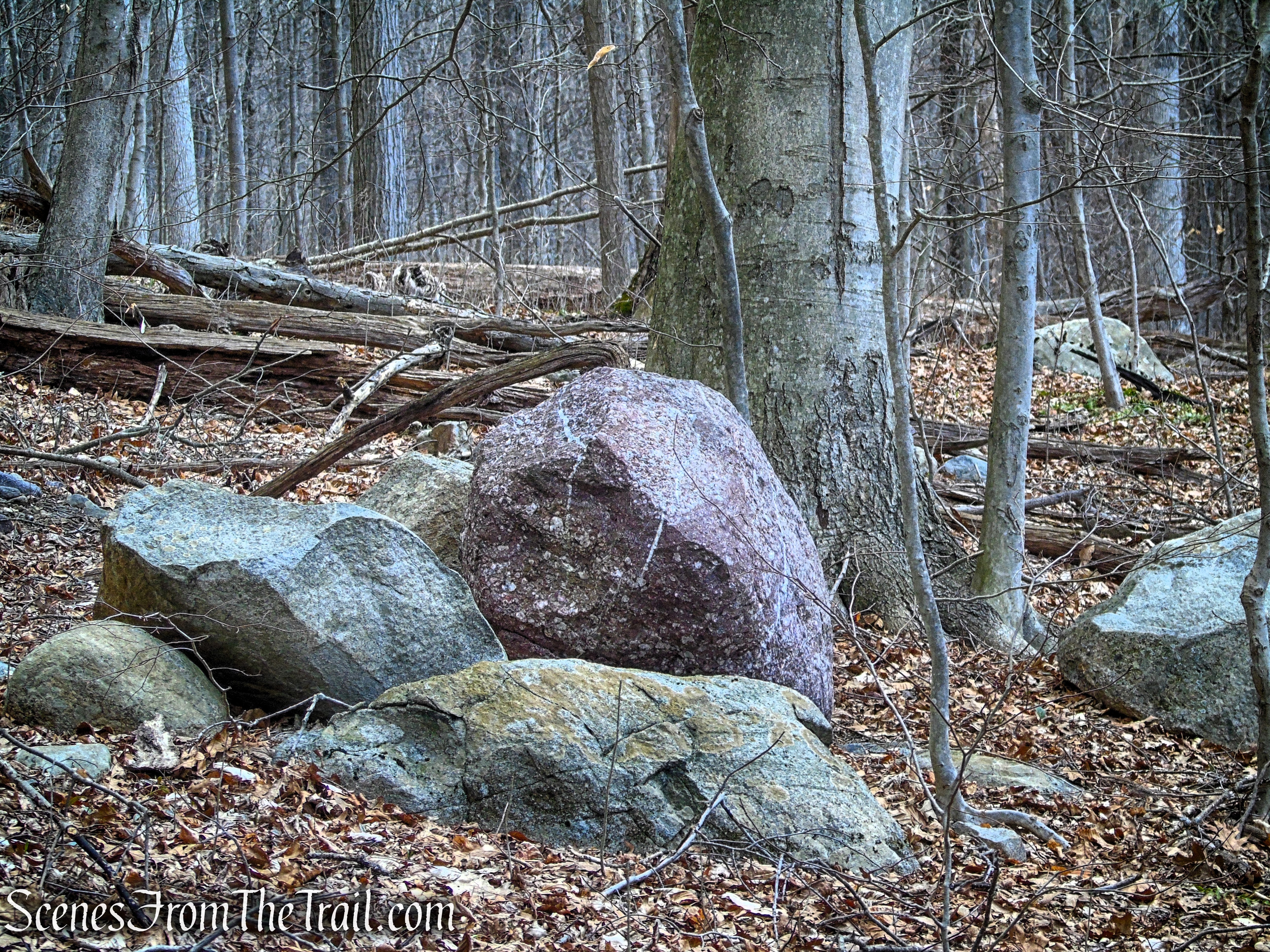 Puddingstone - Orange Trail - Pyramid Mountain