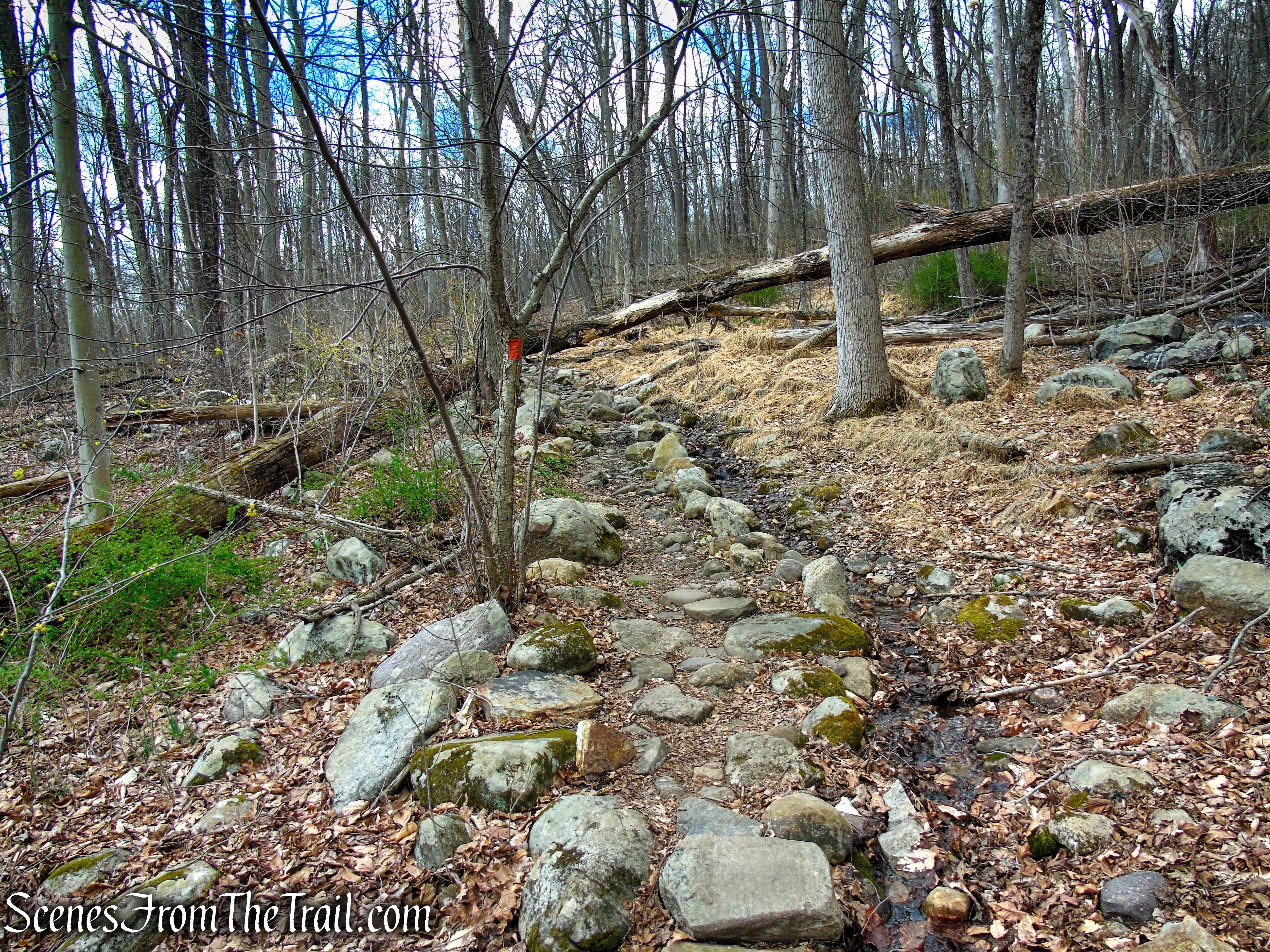 Orange Trail - Pyramid Mountain