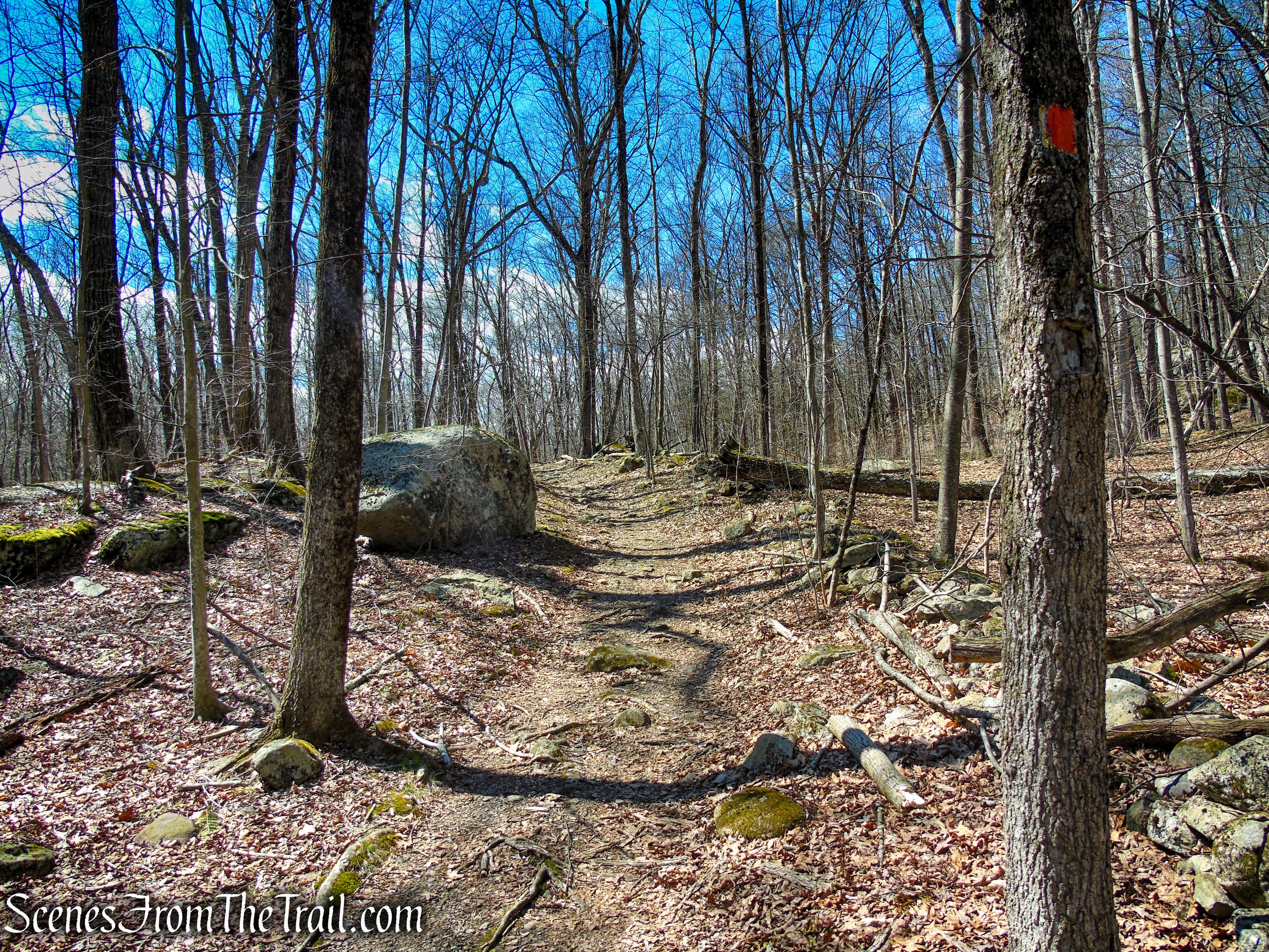 Orange Trail - Pyramid Mountain