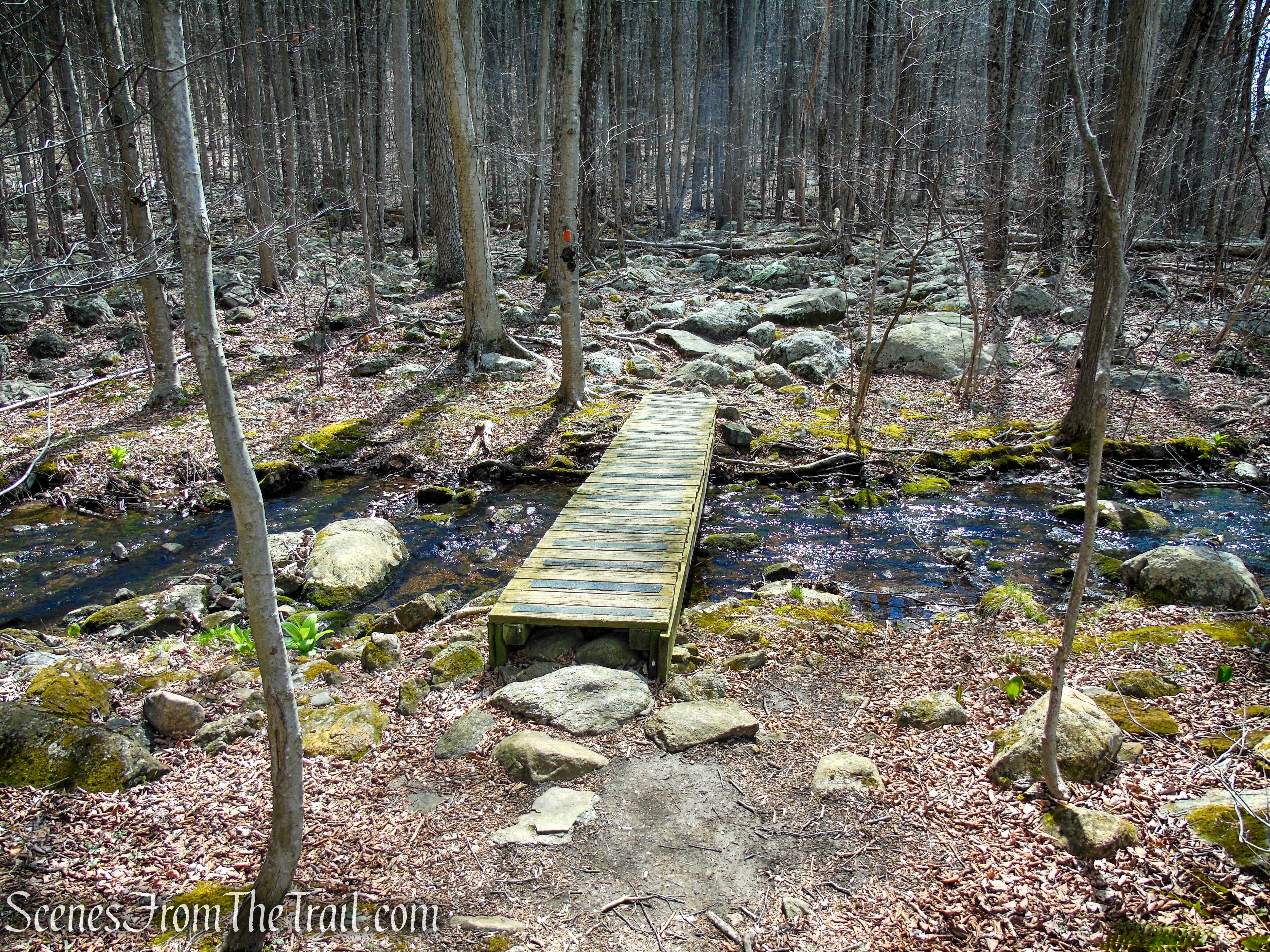 Orange Trail - Pyramid Mountain
