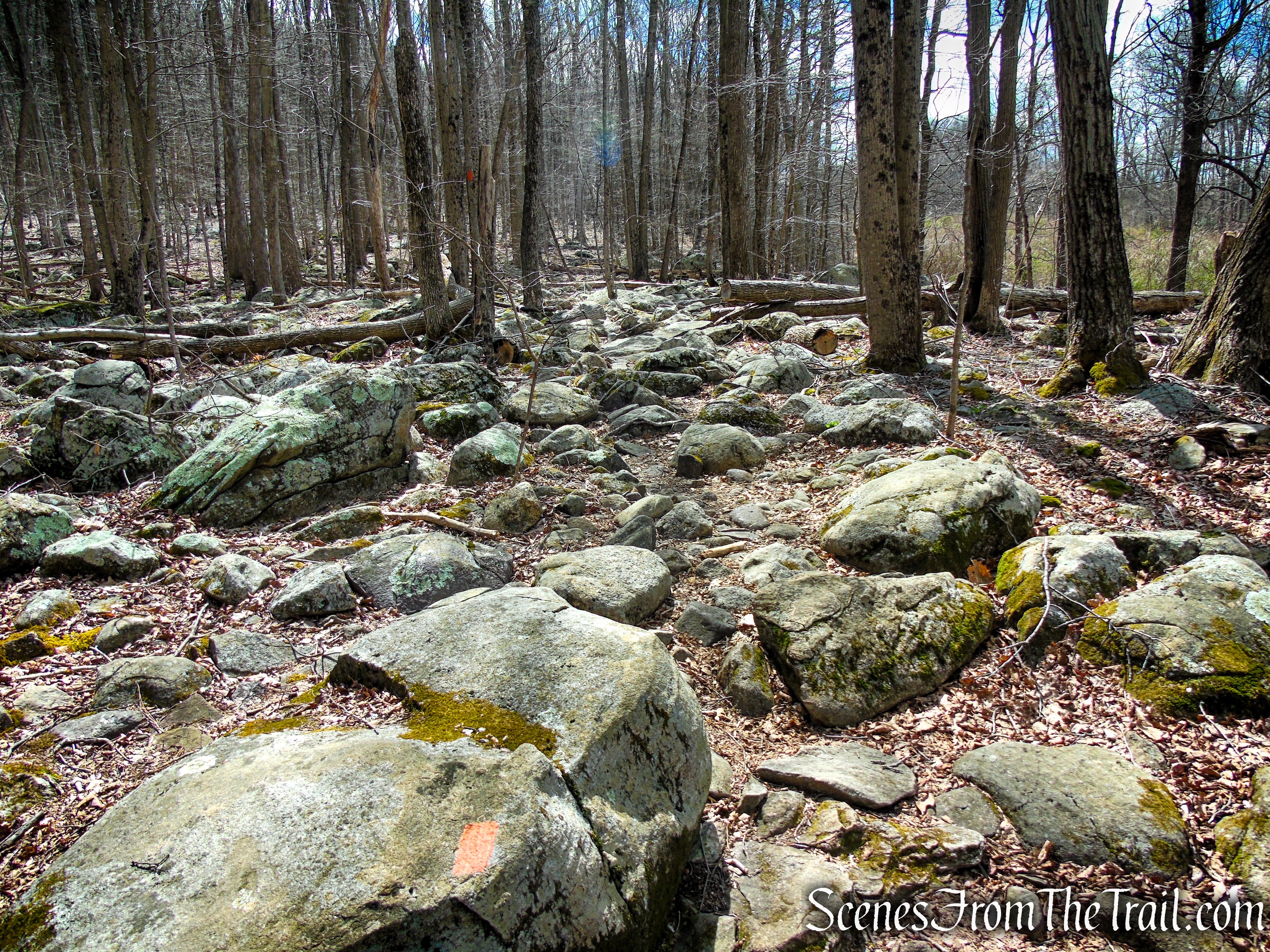 Orange Trail - Pyramid Mountain