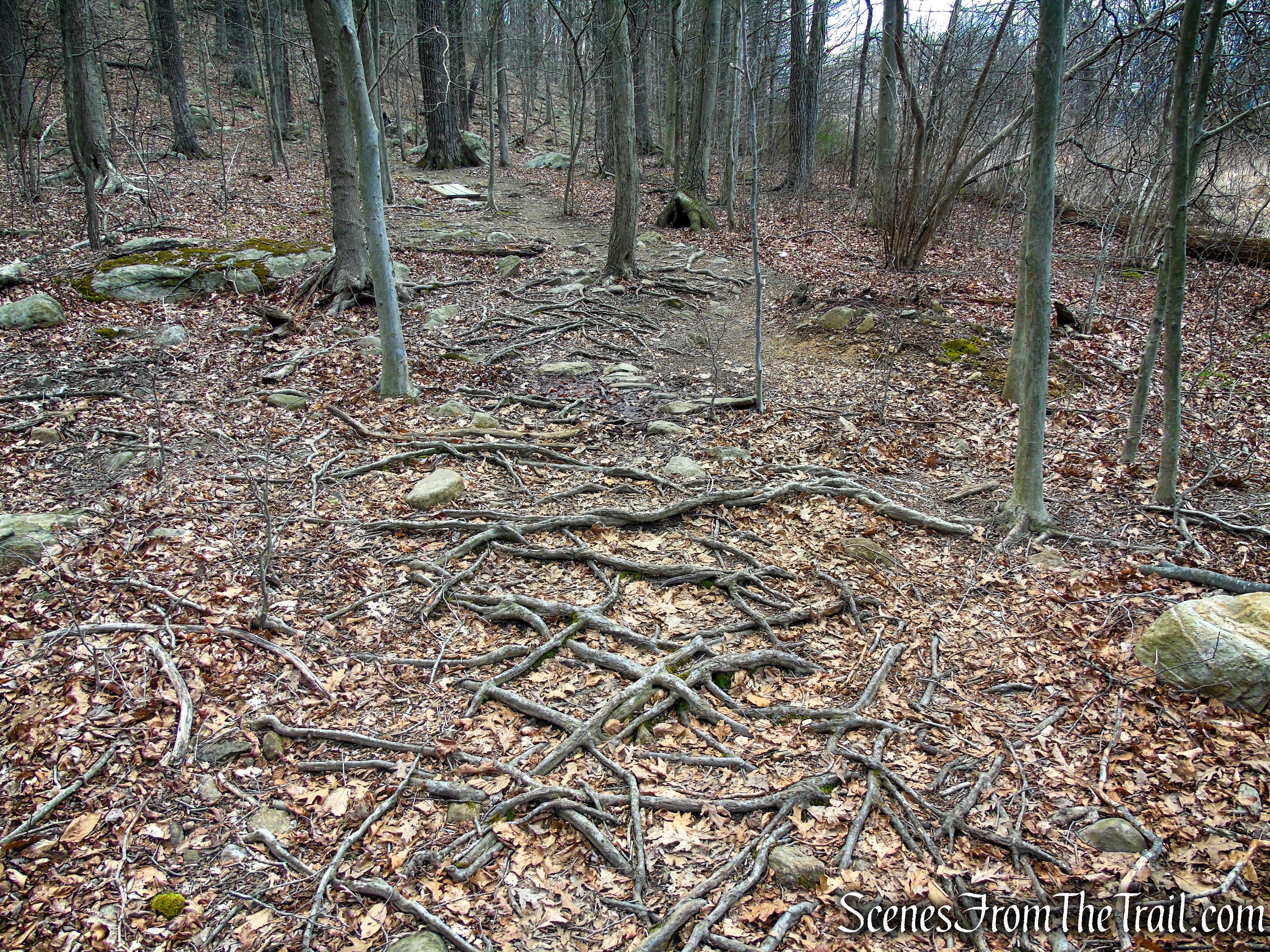 Orange Trail - Pyramid Mountain