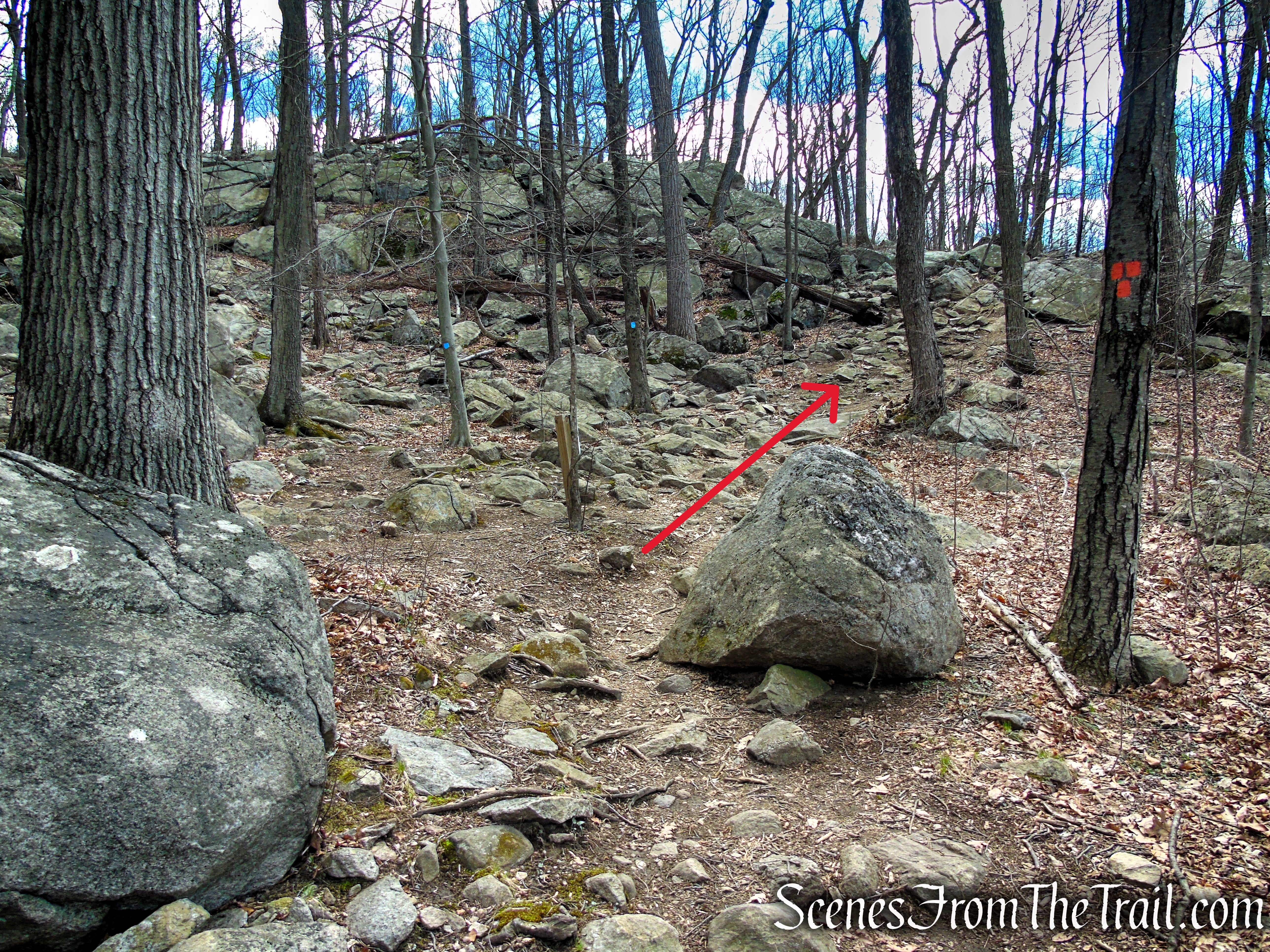 Terminus of Orange Trail