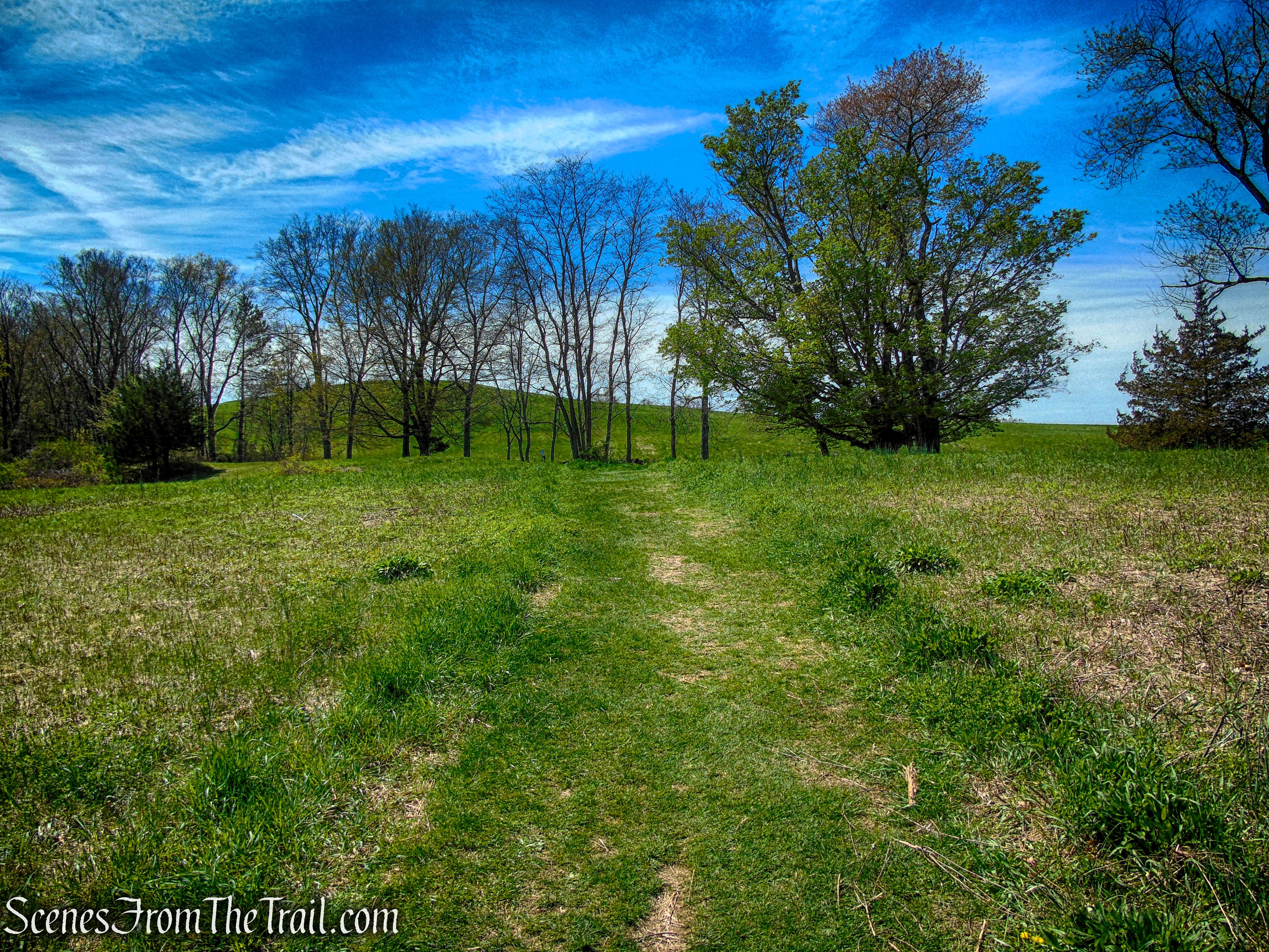 Drayton Grant Park at Burger Hill