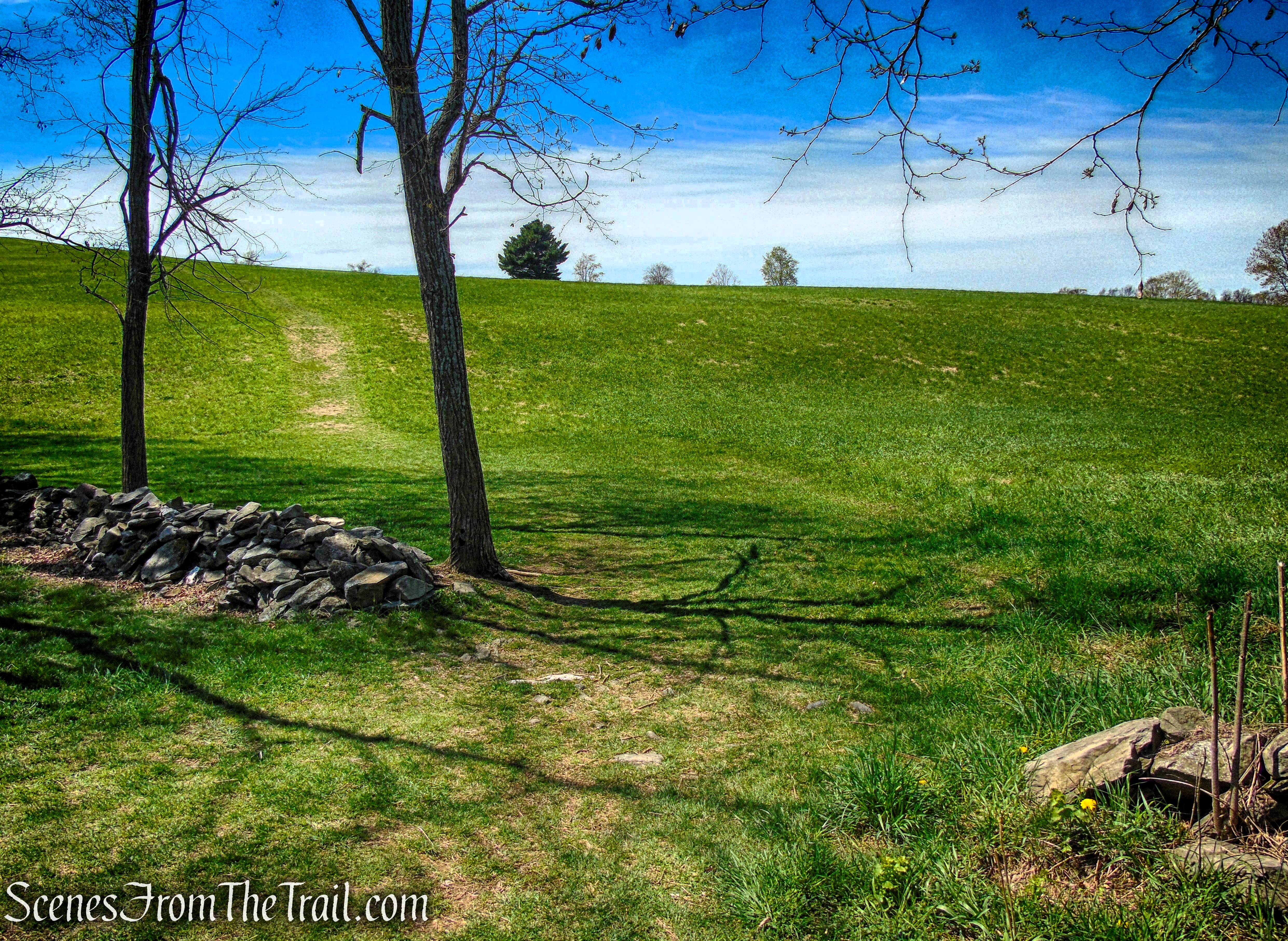 Drayton Grant Park at Burger Hill