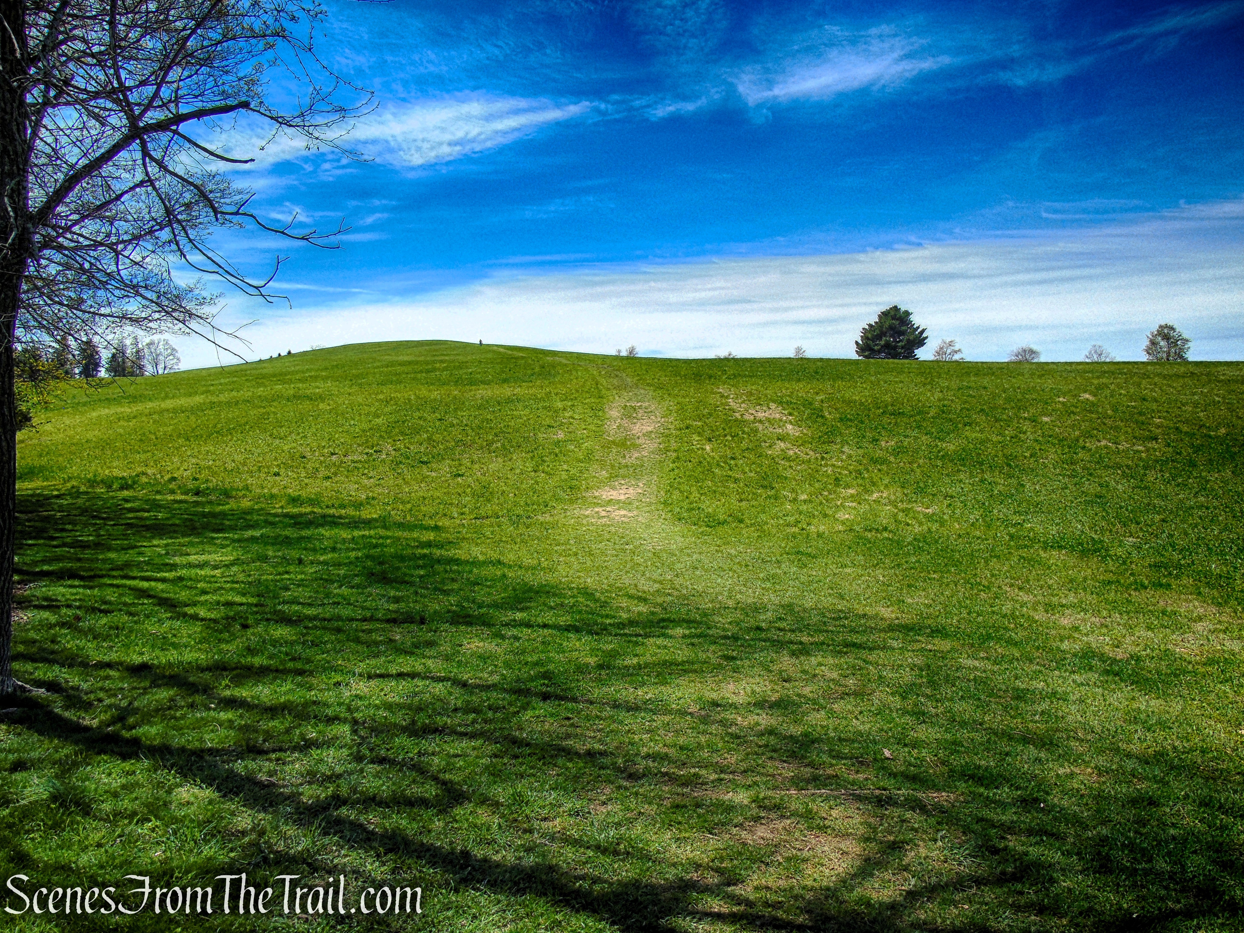 Drayton Grant Park at Burger Hill
