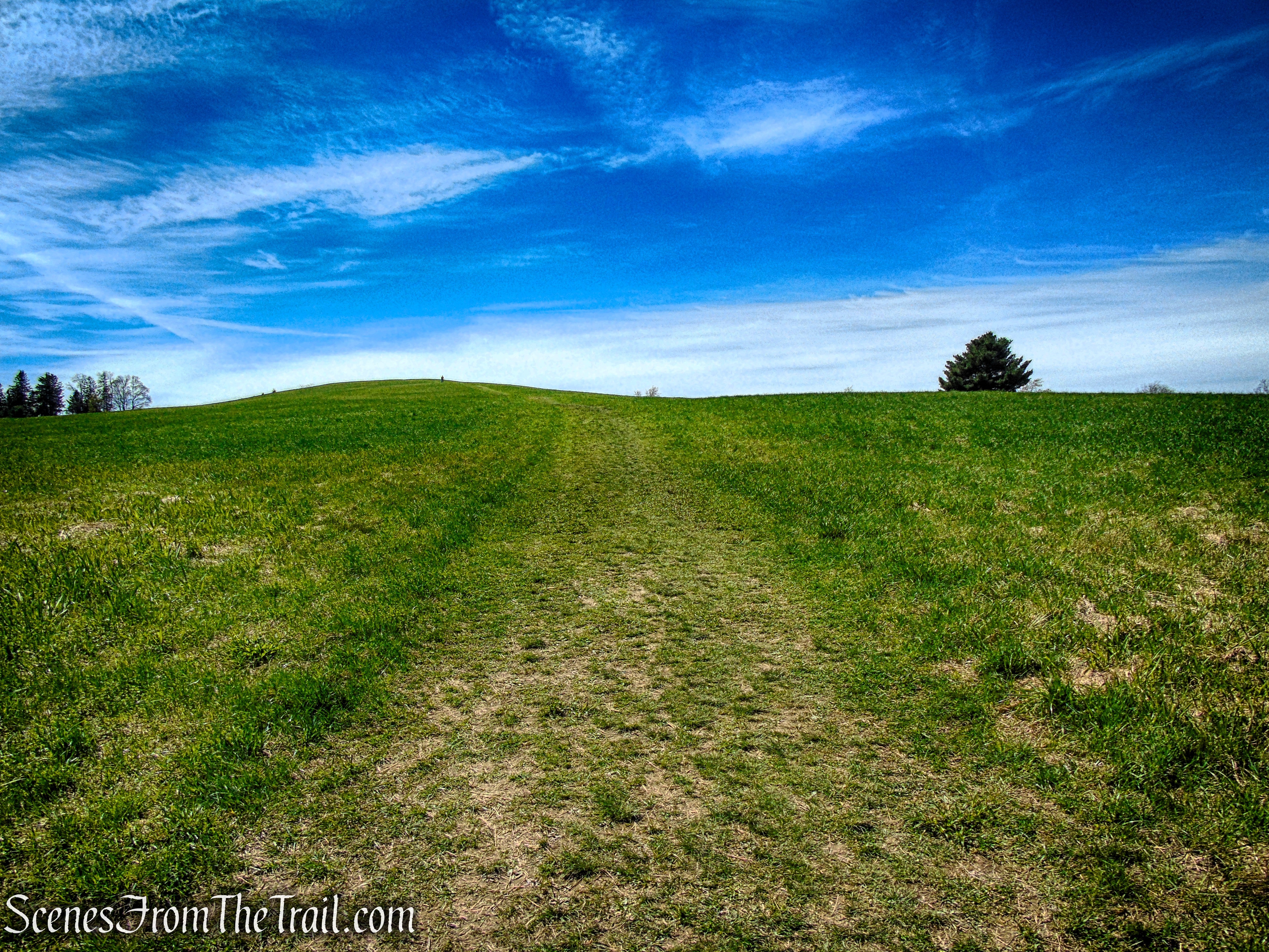 Drayton Grant Park at Burger Hill