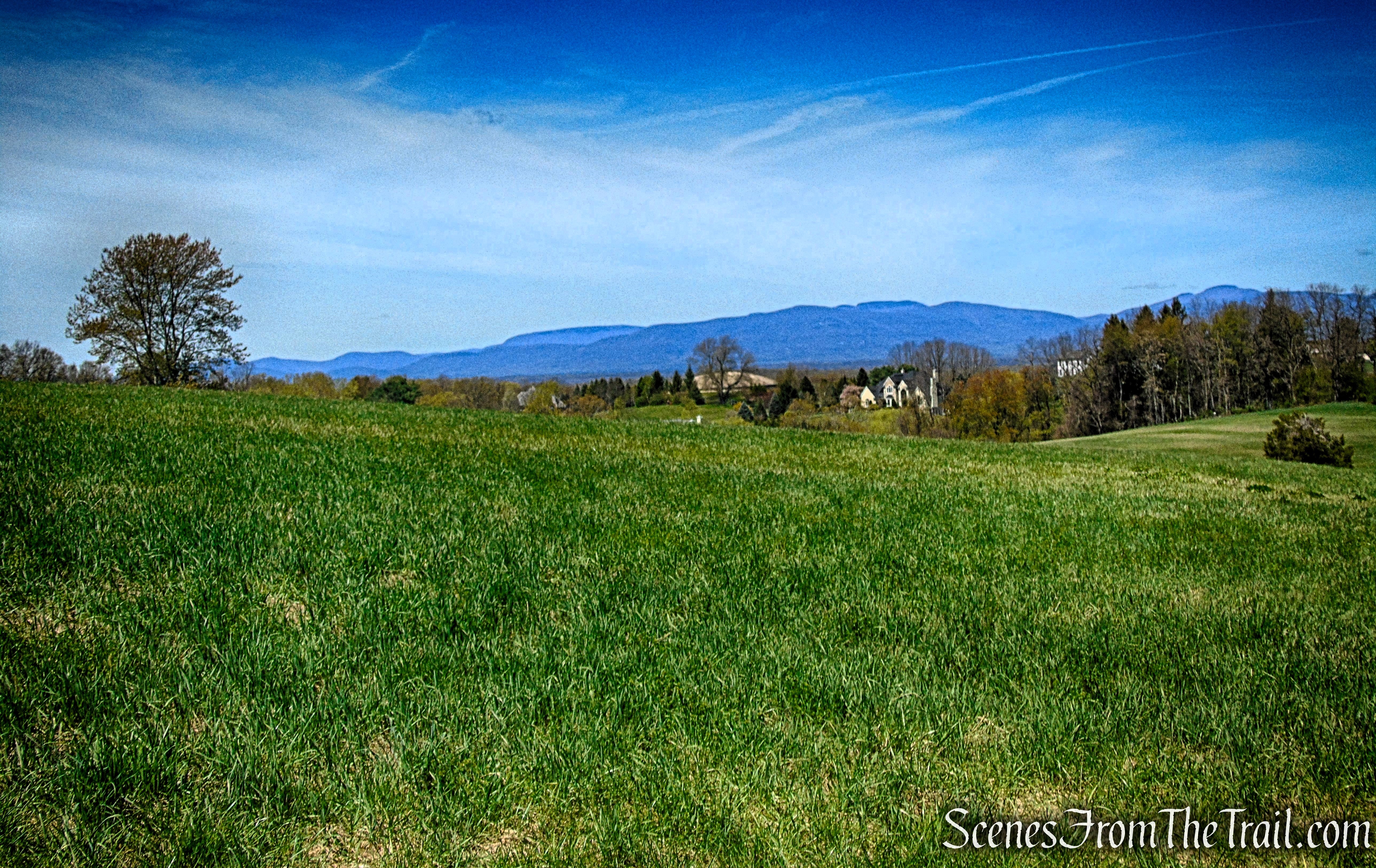 Drayton Grant Park at Burger Hill