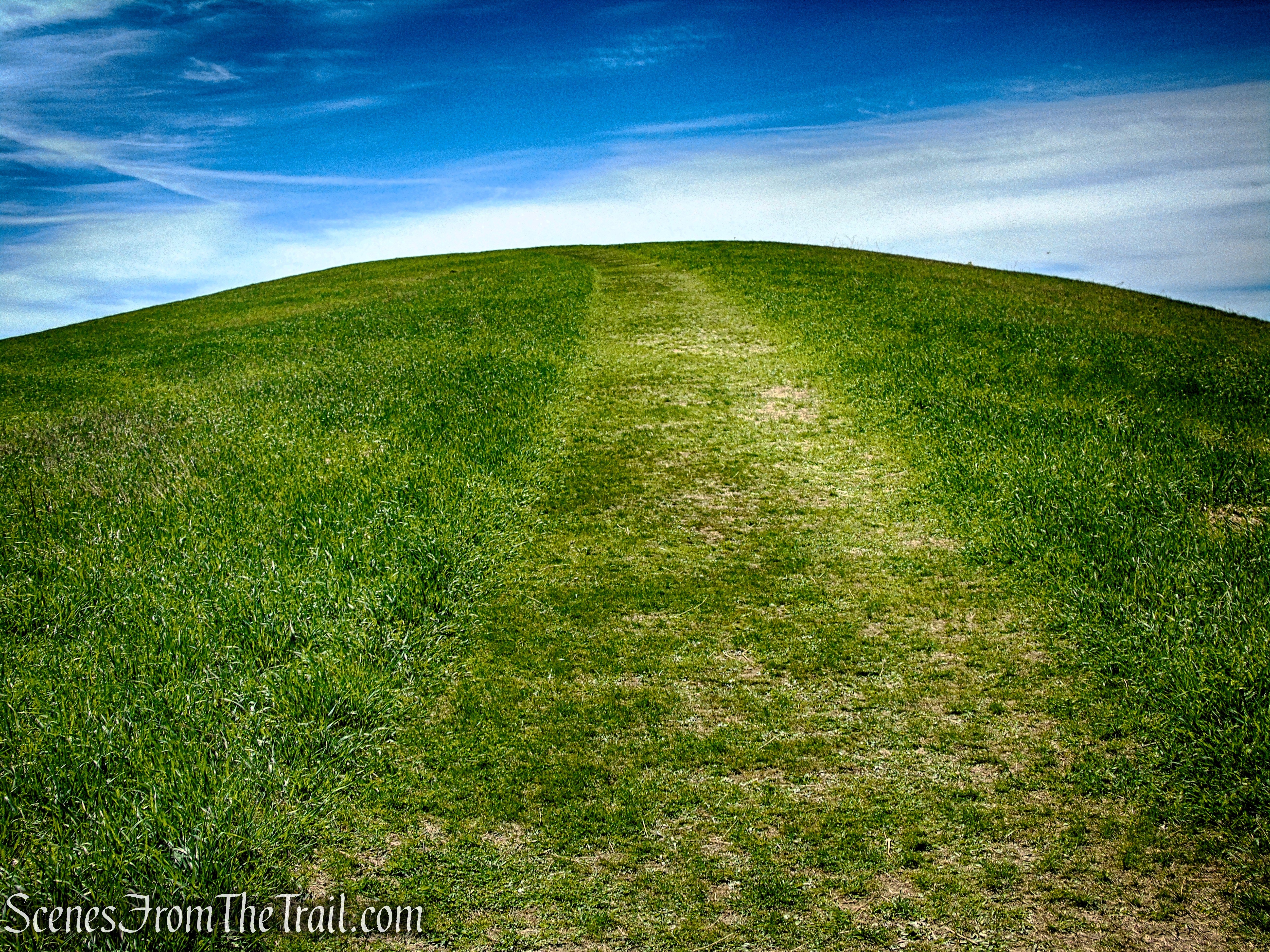 Drayton Grant Park at Burger Hill