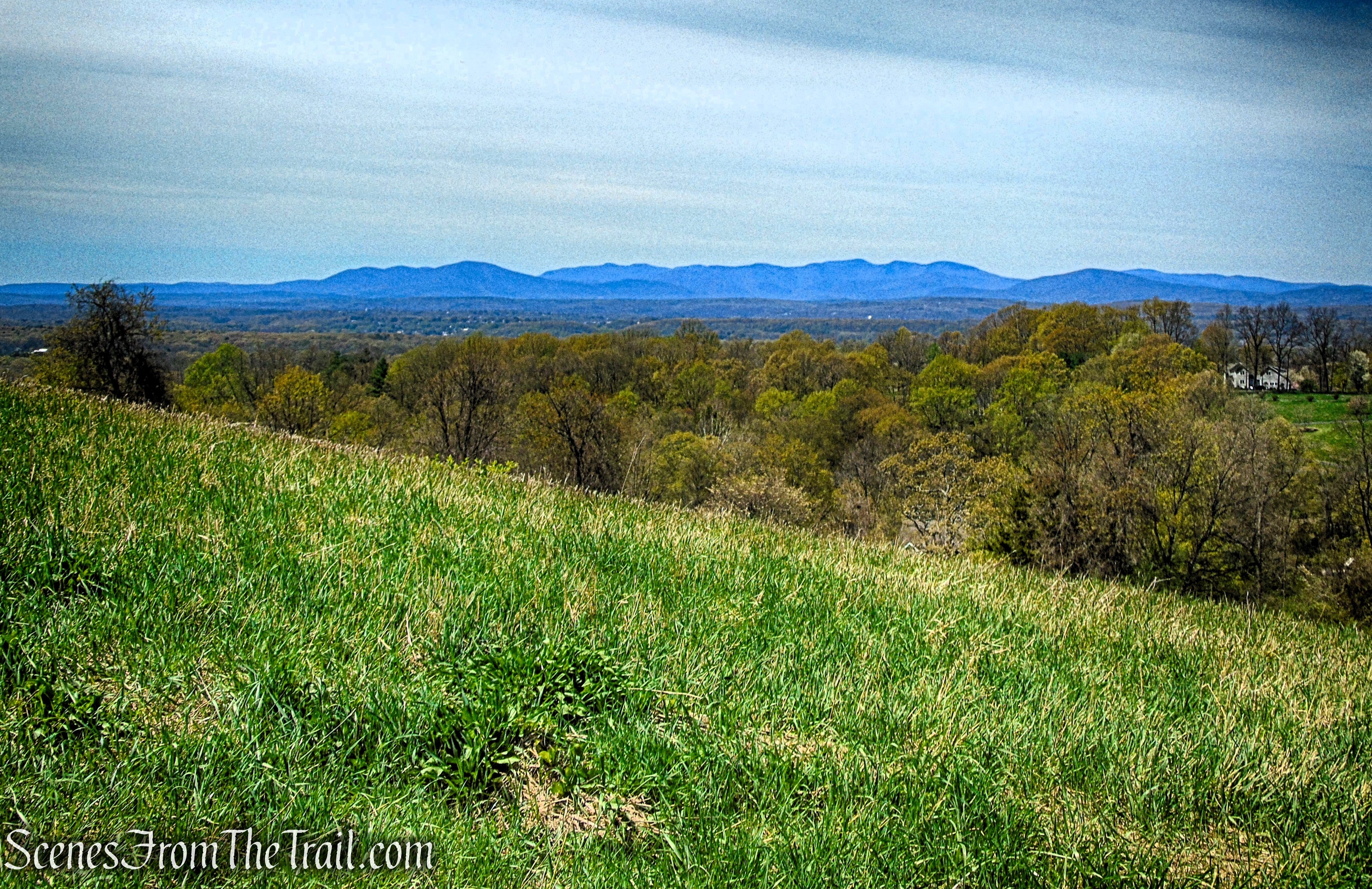 Drayton Grant Park at Burger Hill