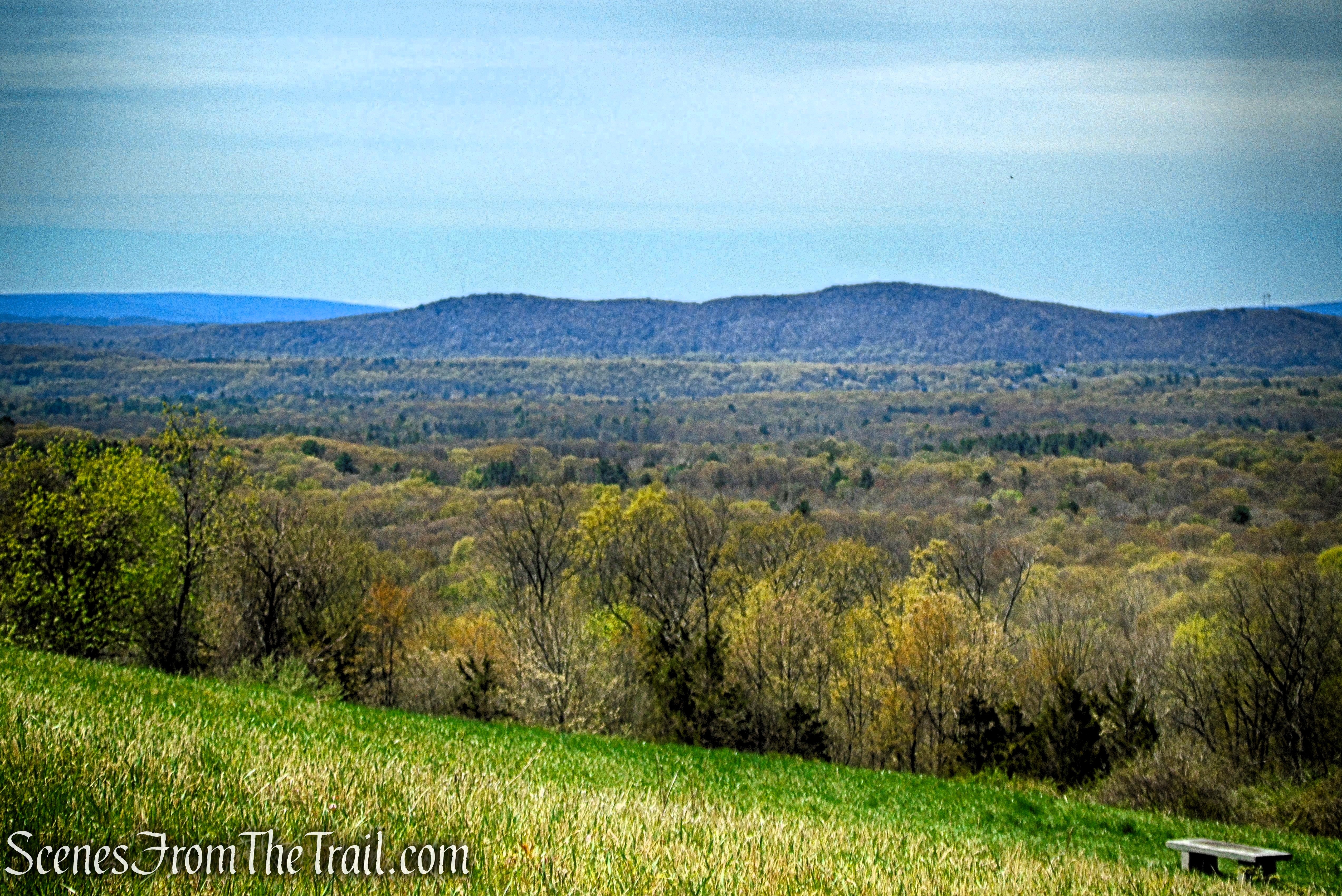 Drayton Grant Park at Burger Hill