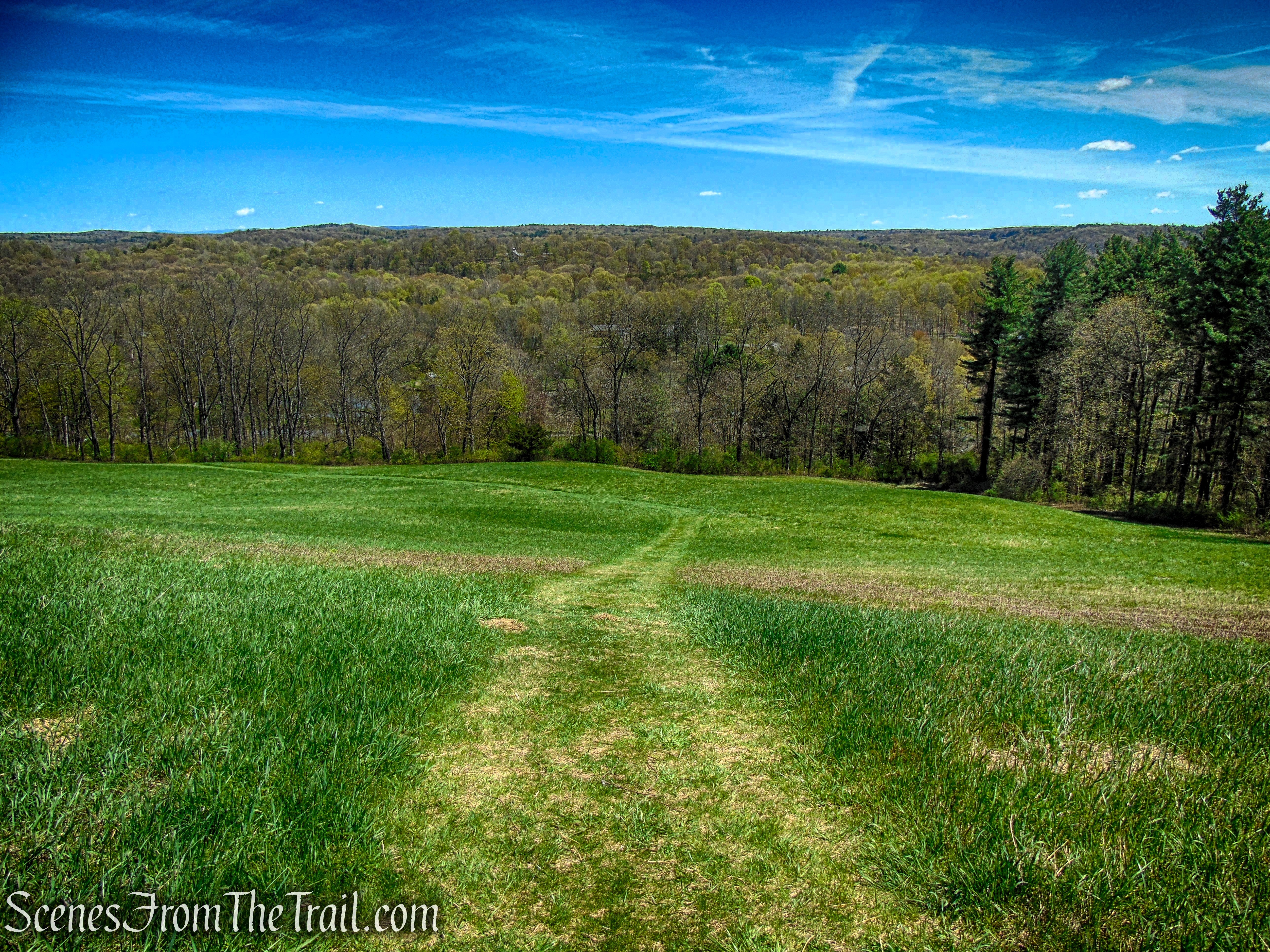 Drayton Grant Park at Burger Hill