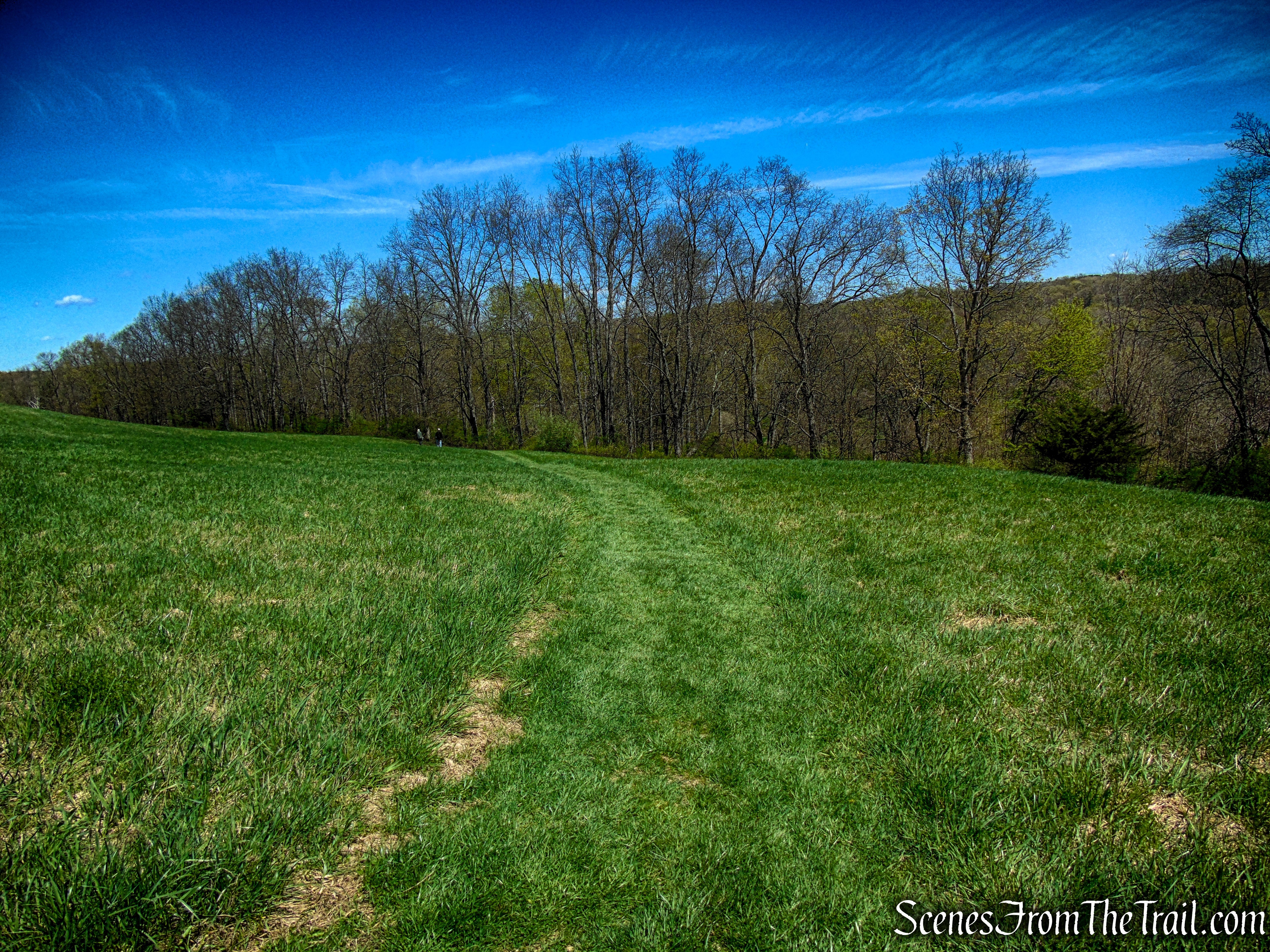 Drayton Grant Park at Burger Hill