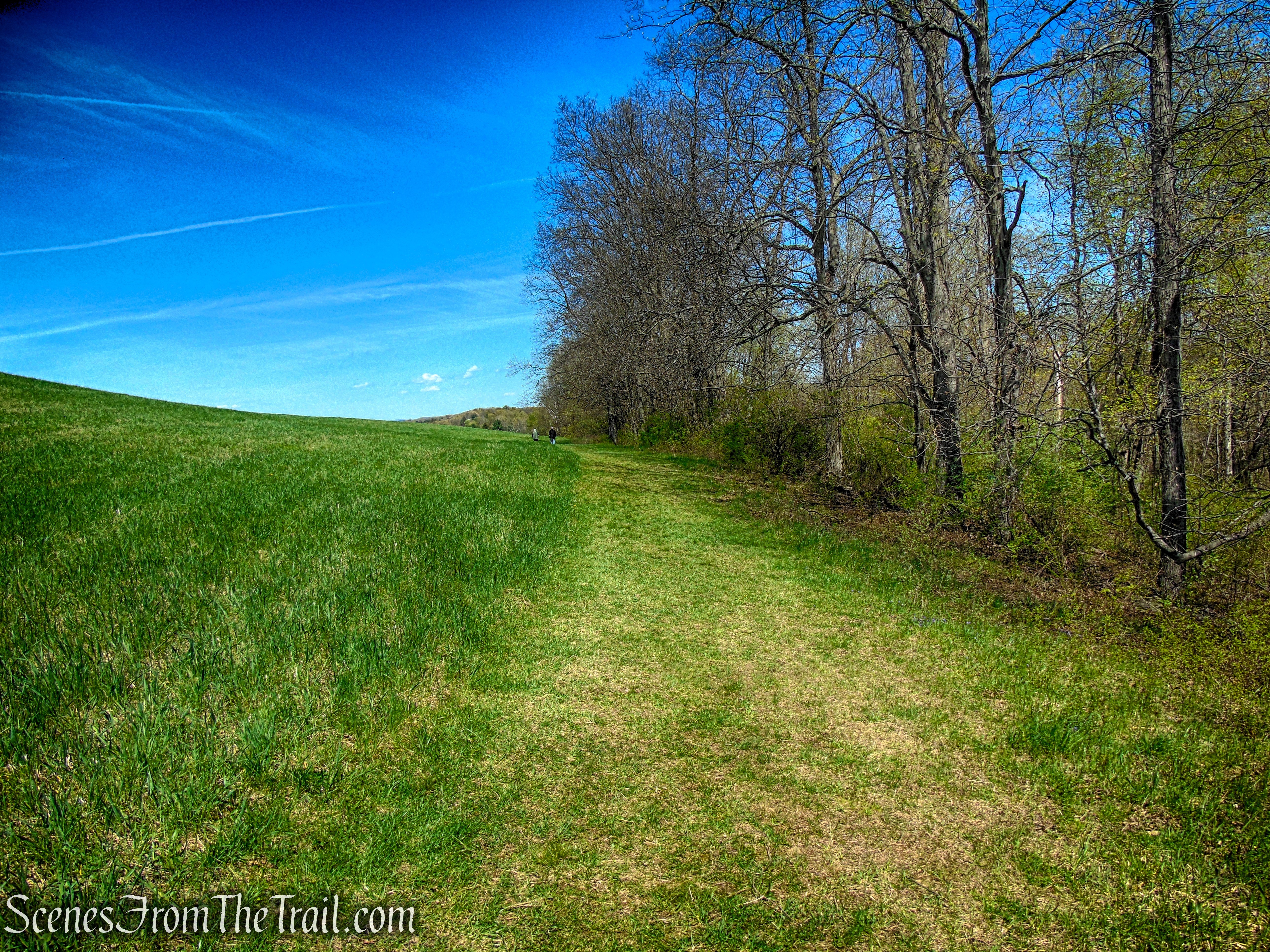 Drayton Grant Park at Burger Hill