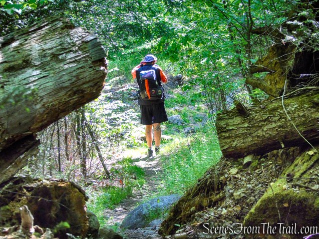 Boston Mine Loop - Harriman State Park