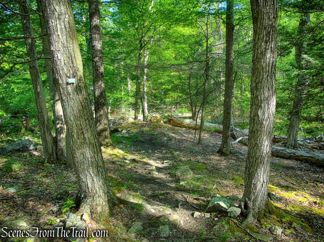 White Bar Trail – Harriman State Park