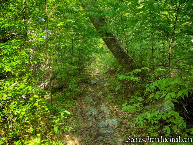 White Bar Trail – Harriman State Park