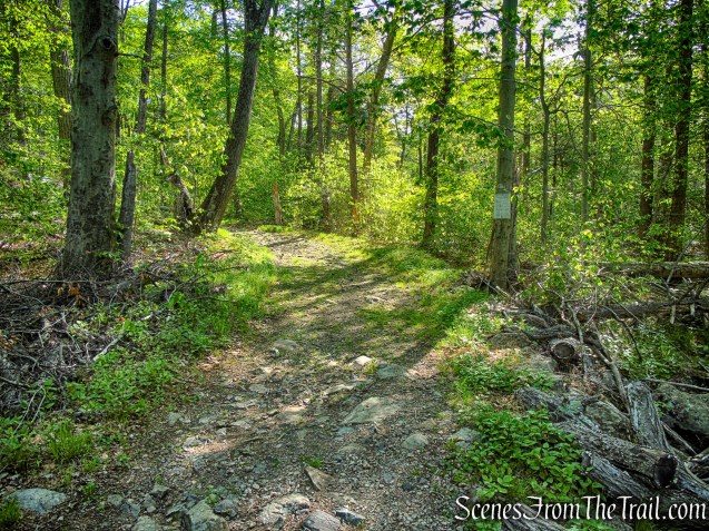 White Bar Trail – Harriman State Park