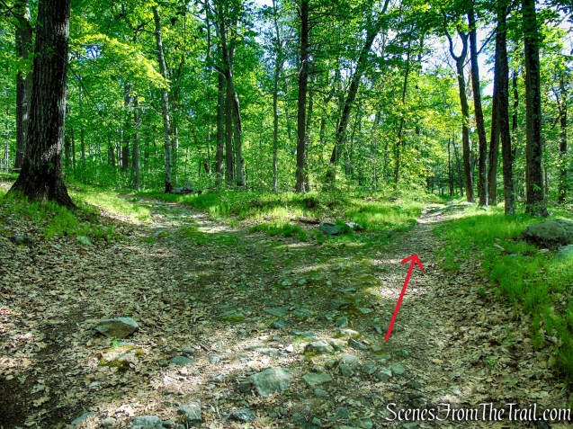 White Bar Trail – Harriman State Park