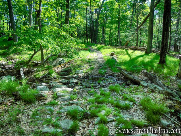 White Bar Trail – Harriman State Park