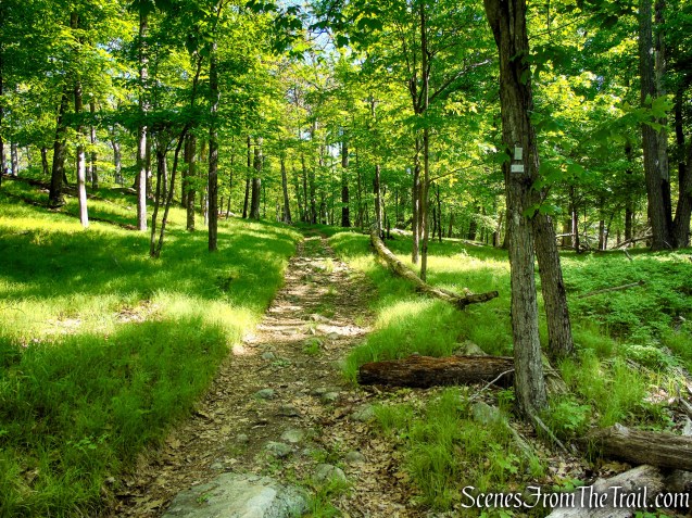 White Bar Trail – Harriman State Park