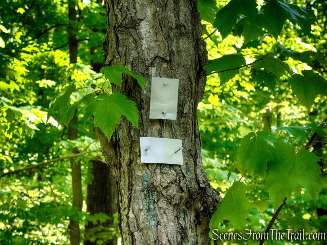 White Bar Trail – Harriman State Park