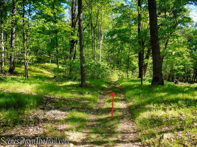 White Bar Trail – Harriman State Park