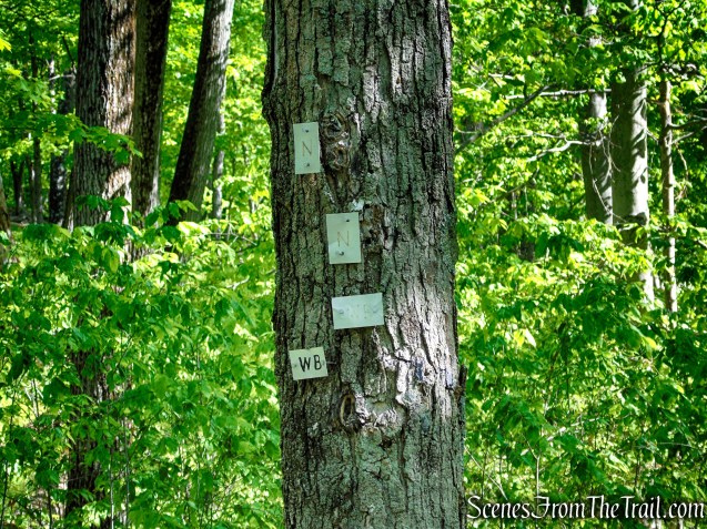 White Bar Trail – Harriman State Park