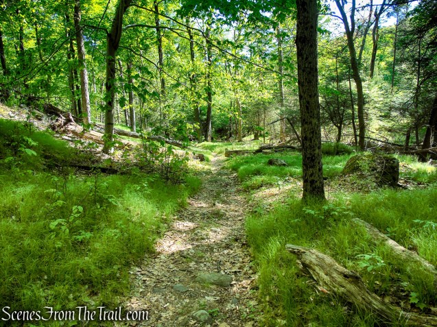 White Bar Trail – Harriman State Park