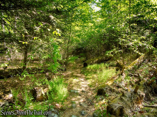 White Bar Trail - Harriman State Park