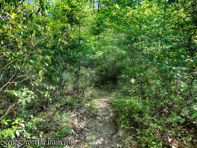 White Bar Trail - Harriman State Park