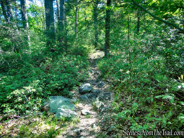 White Bar Trail - Harriman State Park