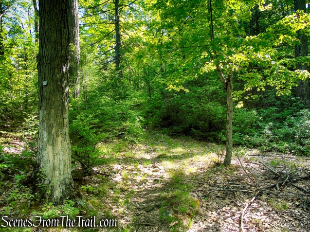 White Bar Trail - Harriman State Park