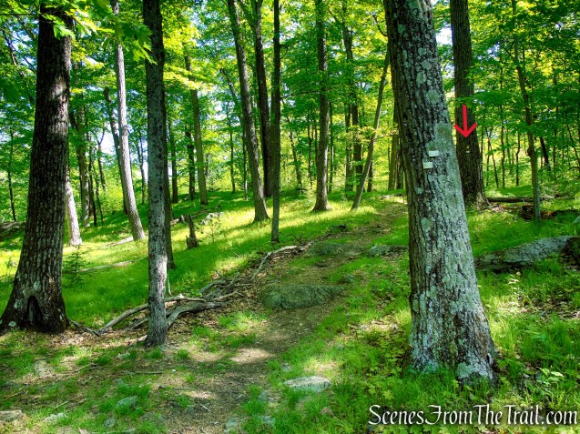 Turn left on Dunning Trail