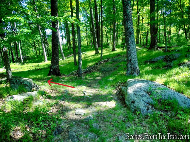 Turn left on Dunning Trail