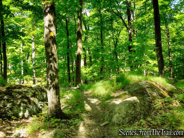 Dunning Trail - Harriman State Park