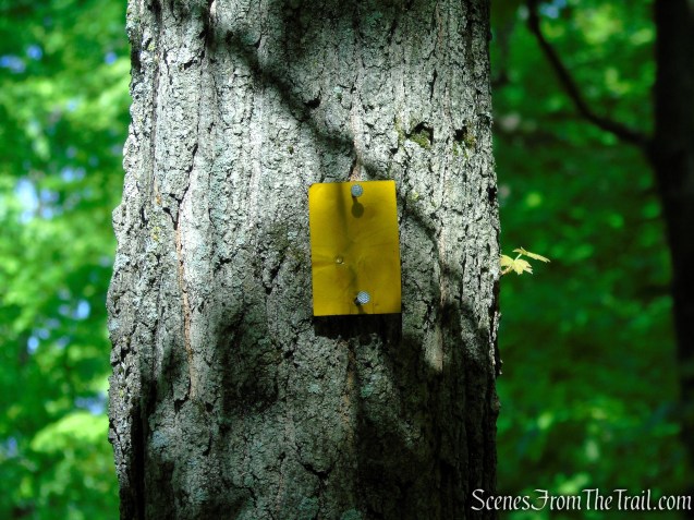 Dunning Trail - Harriman State Park