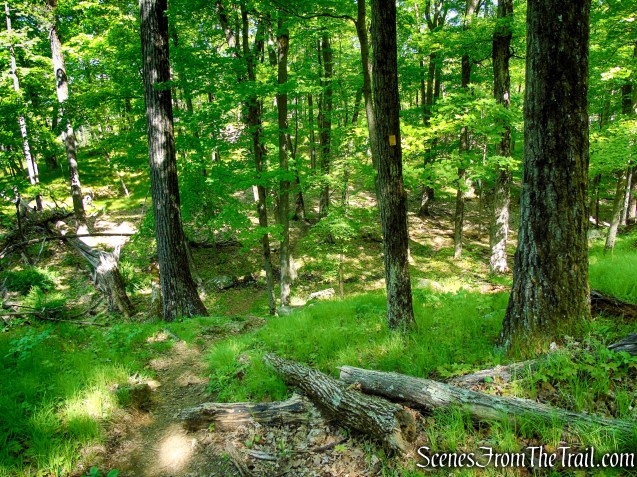 Dunning Trail - Harriman State Park