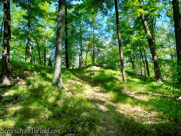 Dunning Trail - Harriman State Park
