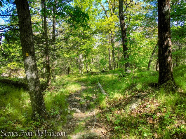 Dunning Trail - Harriman State Park