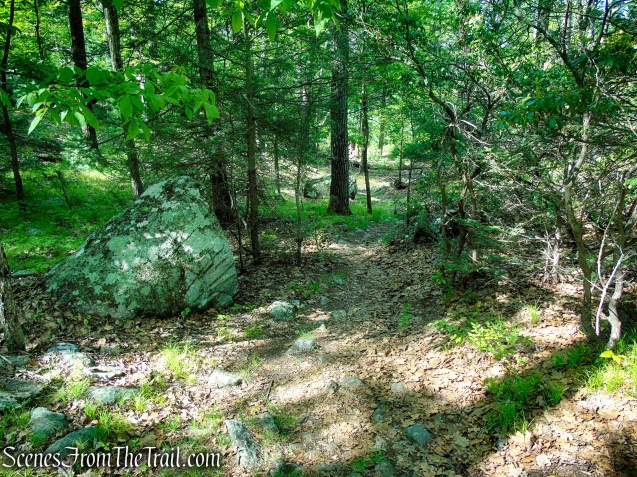 Dunning Trail - Harriman State Park