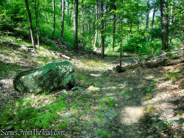Dunning Trail - Harriman State Park