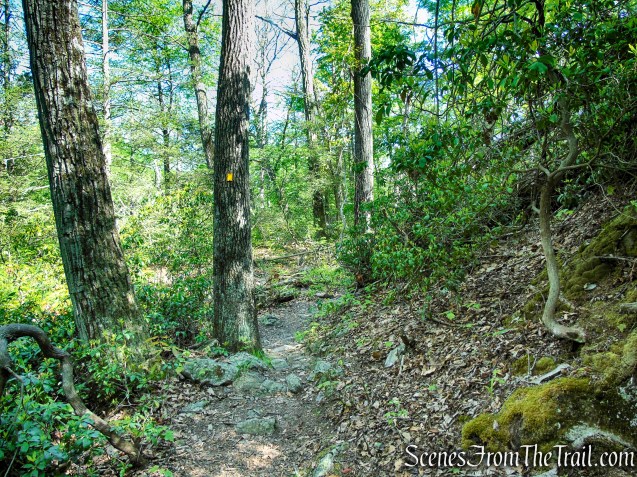 Dunning Trail - Harriman State Park