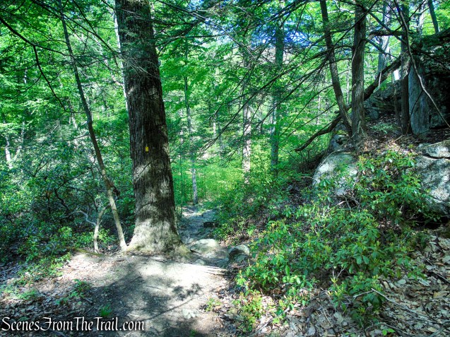 Dunning Trail - Harriman State Park