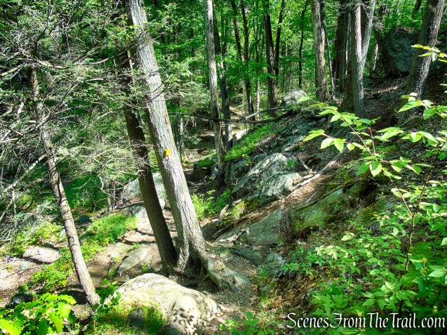 Dunning Trail - Harriman State Park