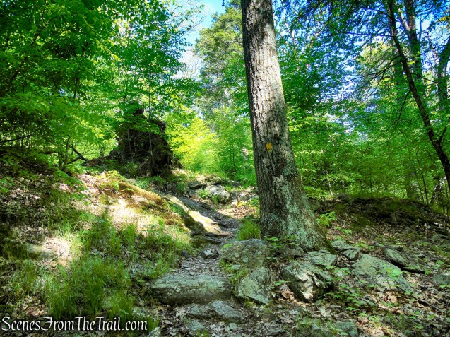 Dunning Trail - Harriman State Park