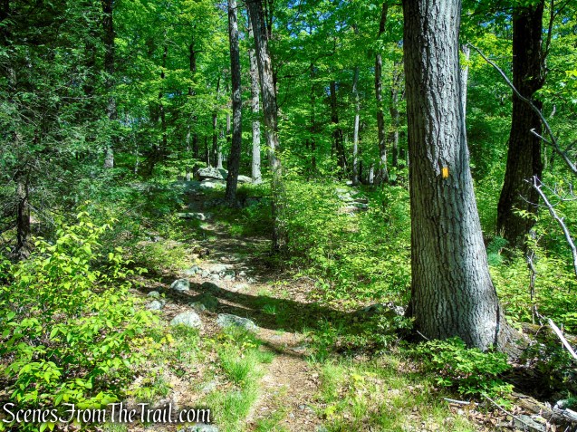 Dunning Trail - Harriman State Park