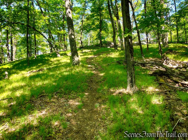 Dunning Trail - Harriman State Park