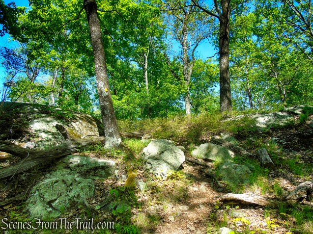 Dunning Trail - Harriman State Park