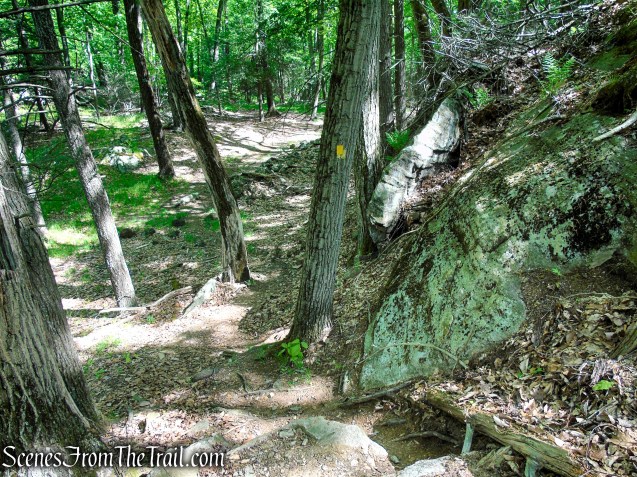 Dunning Trail - Harriman State Park 